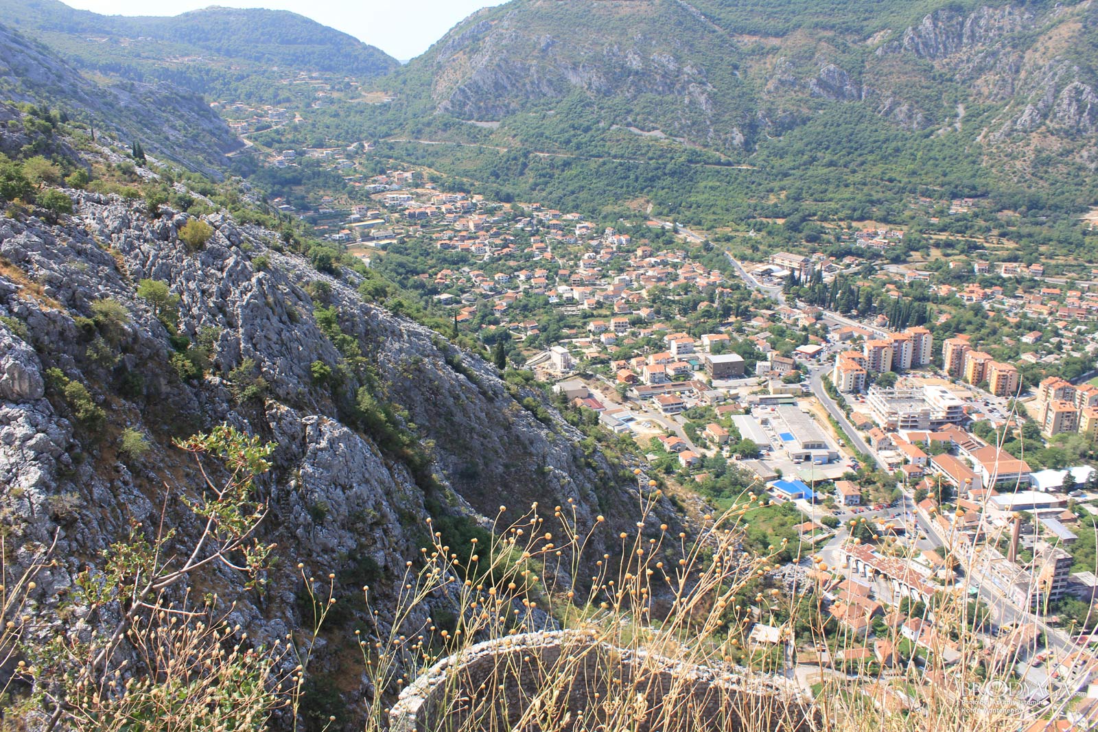 Kotor